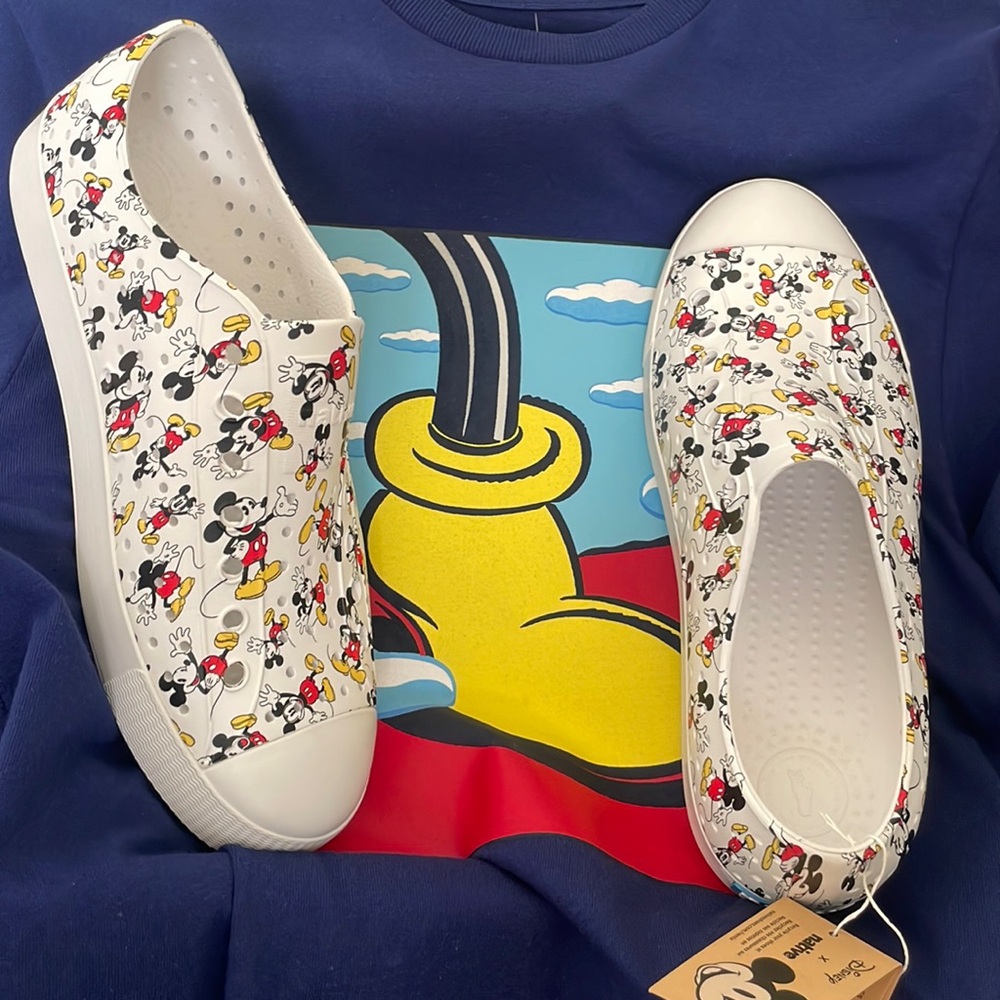 native x disney